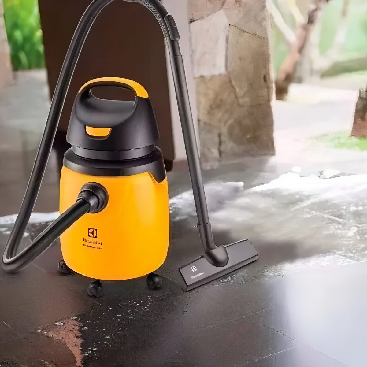 Aspiradora De Tacho Electrolux Gt30n 20l Amarilla Y Negra 50hz/60hz - Imagen 4