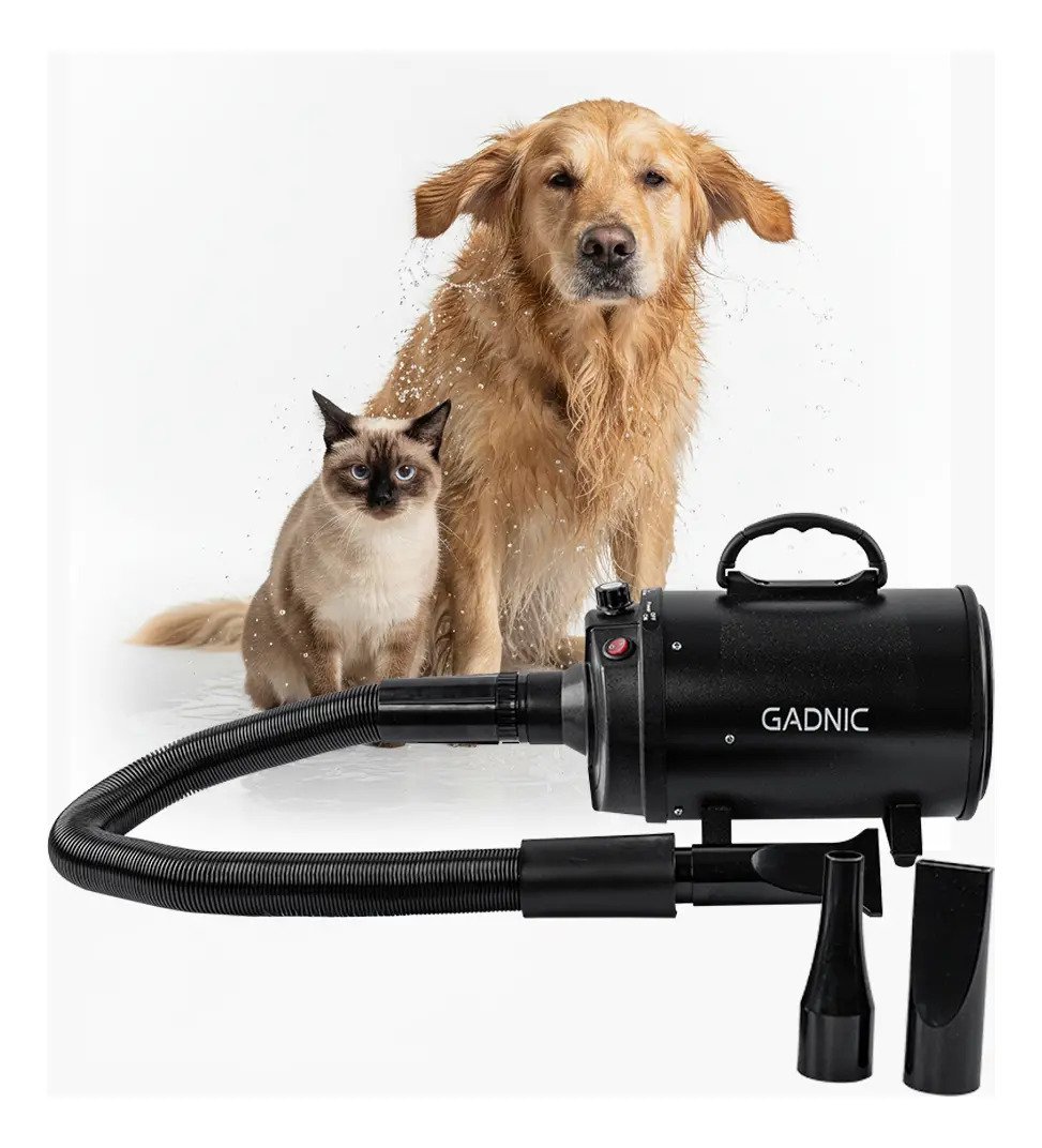 Turbina Secadora De Pelo Para Perros Gadnic Pd2000 2 Velocidades Boquillas Silencioso Manguera Flexible Negro