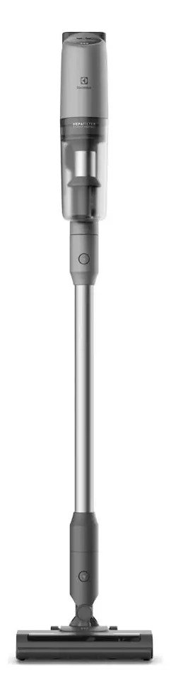 Aspiradora Inalámbrica Vertical Electrolux Ptec100 300ml Gris