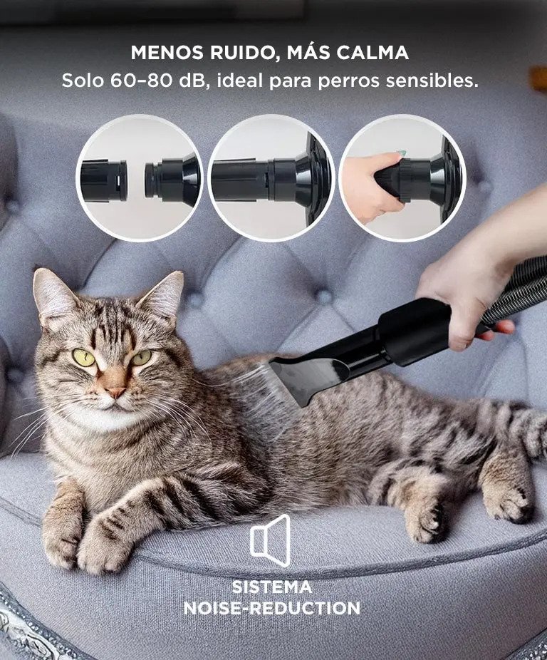 Turbina Secadora De Pelo Para Perros Gadnic Pd2000 2 Velocidades Boquillas Silencioso Manguera Flexible Negro - Imagen 5