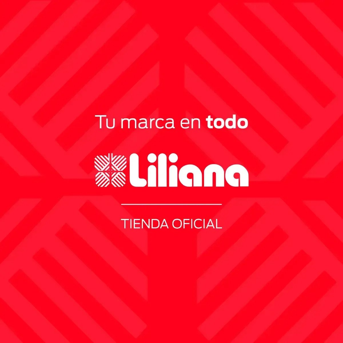 Convector Liliana Convectory Plus Cfb17 2000w Diseño Moderno Blanco/negro - Imagen 6